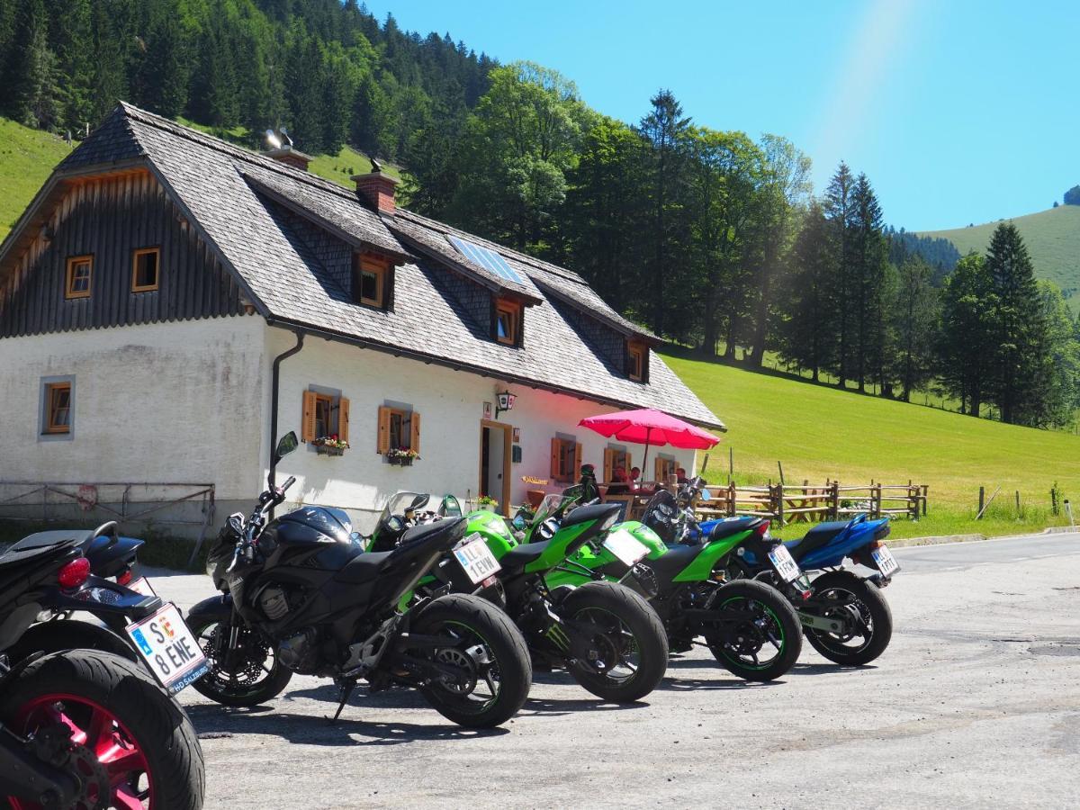 Zickerreith Almhutte Hostel Rosenau am Hengstpass Exterior photo