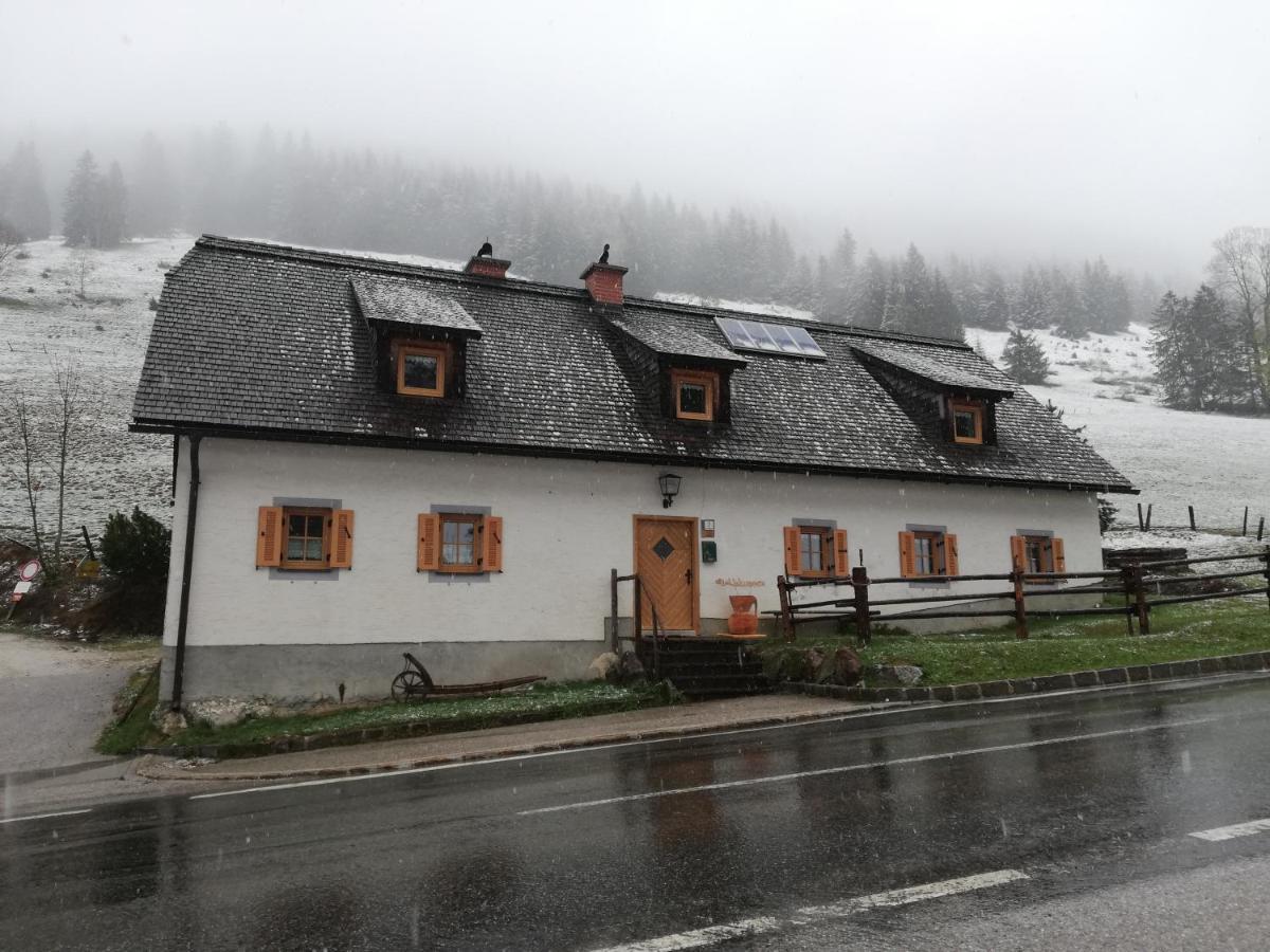 Zickerreith Almhutte Hostel Rosenau am Hengstpass Exterior photo