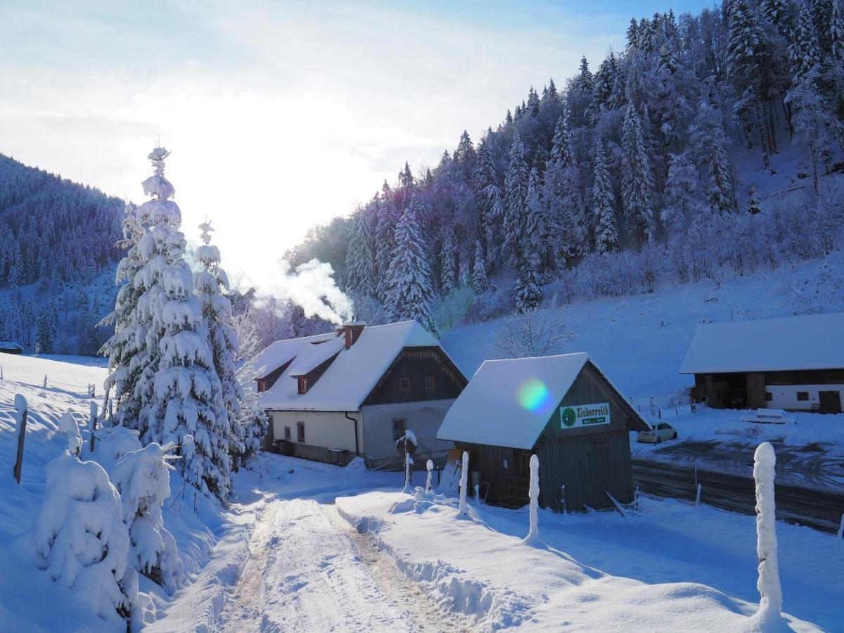 Zickerreith Almhutte Hostel Rosenau am Hengstpass Exterior photo